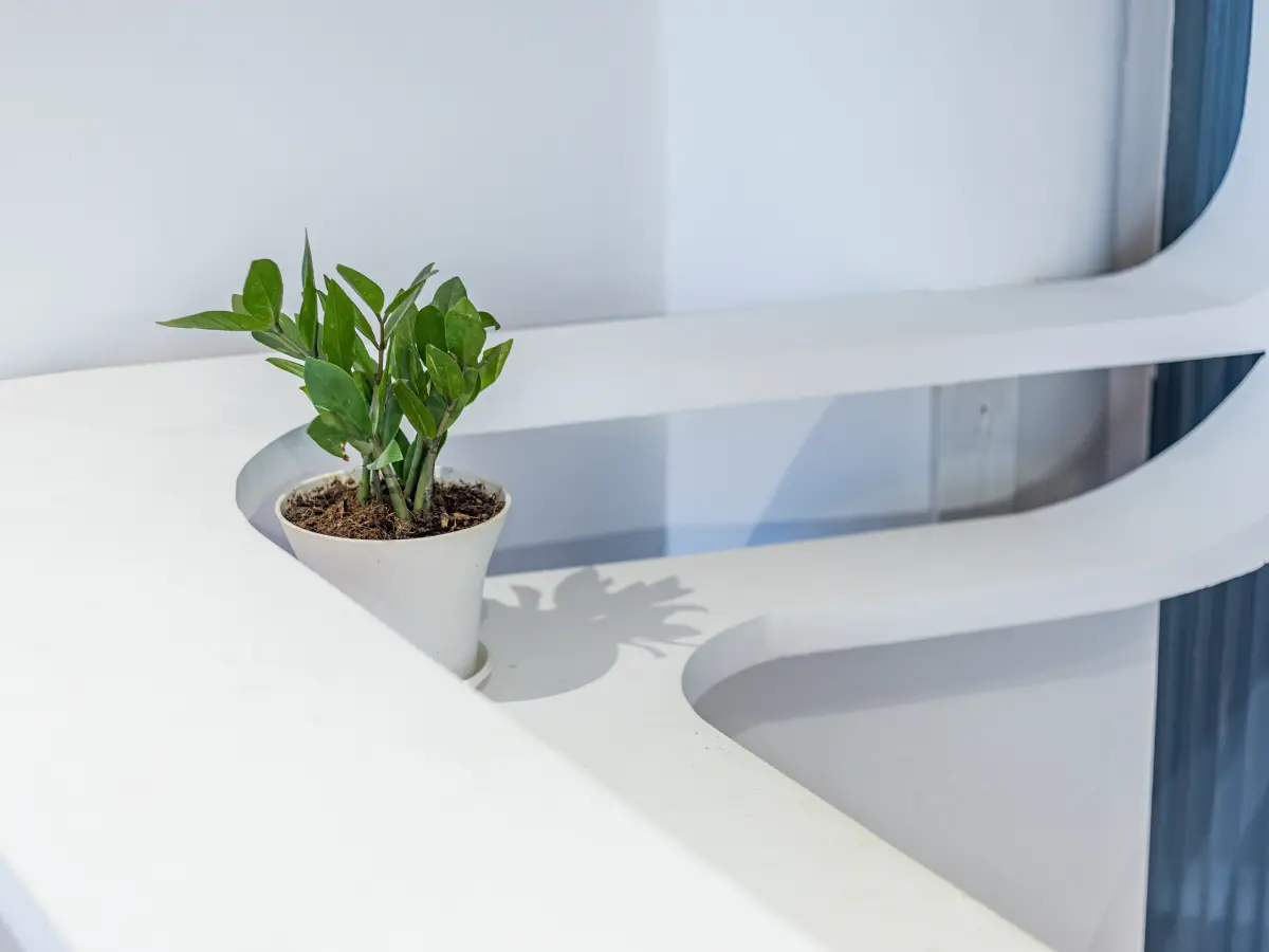 A quiet corner of the reception at Avon Chambers